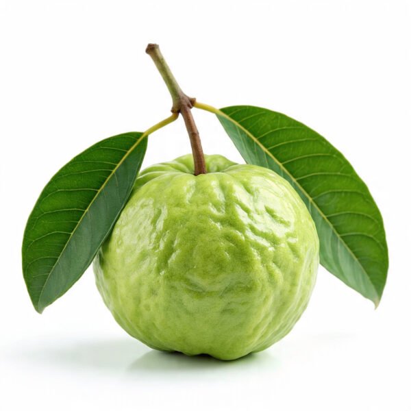 Guava
