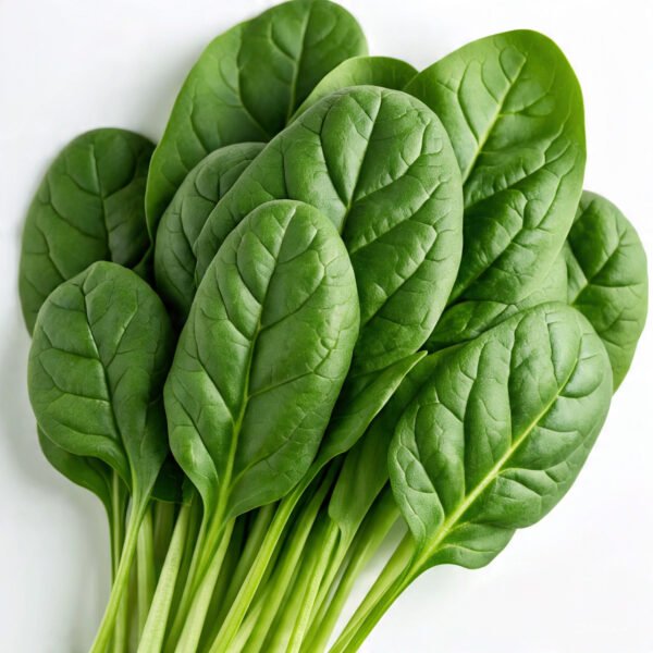 Spinach Vegetables
